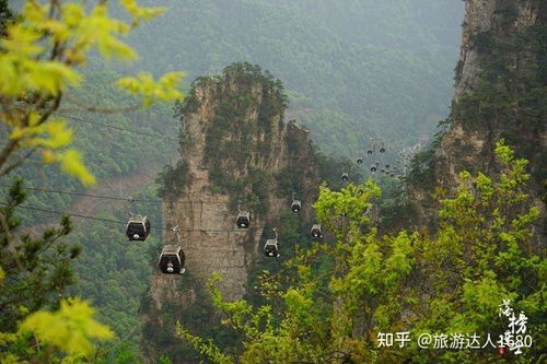 一、张家界门票收入翻番：是真的吗？
