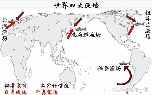 中国：历史与现实交织的神奇国度