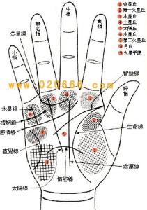 4、风水布局对手相有哪些作用于？（其实谁都没搞清楚）