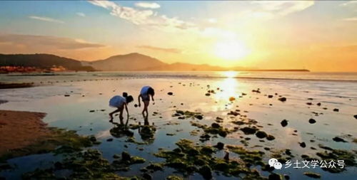 3. 菊花岛：与世隔绝的“海鲜王国”