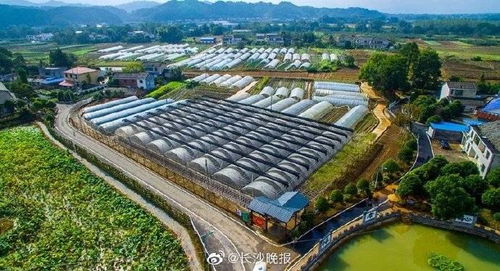 二、双核驱动：遗址保障与城区持续发展的融合