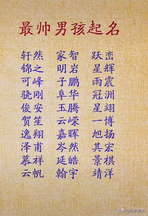 姓名结构模板参考