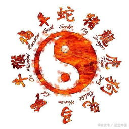 四、个性特点：谁更像你？