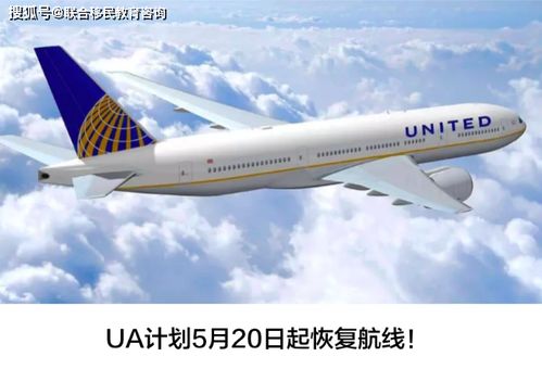 航班信息：你的空中迅速车， 但别被忽悠