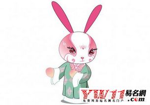 1987年出生的人属兔，其五行属木还是火？