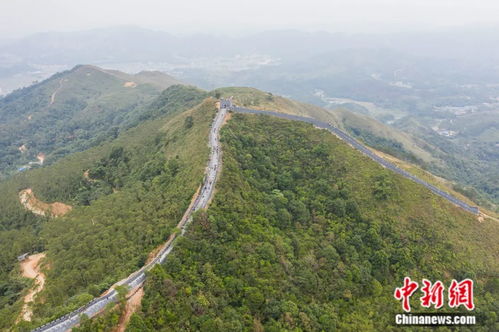 冻成狗？来广西当个快乐的小太阳吧！