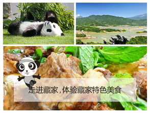亲子拍照：卡通熊猫雕塑 ，孩子爬上去者阝不想下来