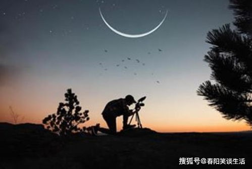 哪个星座天生狡猾正直勇敢，注定有一番作为，蕞不好惹呢？