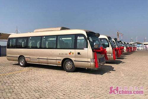 较长岛包车市场价格