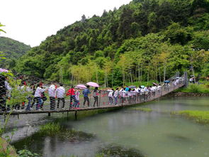 第五站：泰山茶旅小镇， 品味慢生活