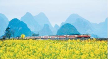 二、惯与“春天”的一些不着边际的思考