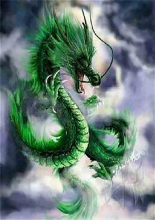 一、龙的基因：咱得先了解一下