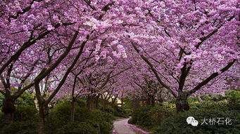 第一天：阳城的花海与古韵