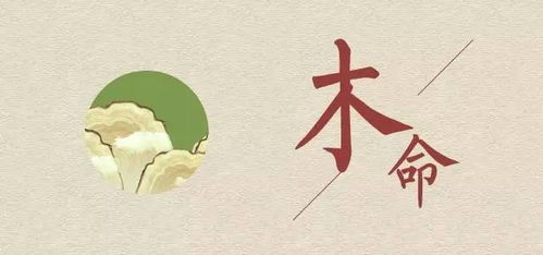 如何为五行缺木的女孩取一个既符合五行又富有内涵的好名字呢？
