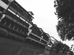 第四章：失而复得的文化底蕴记忆