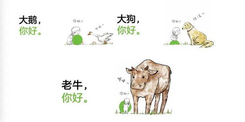 照镜子是什么生肖？照镜子代表什么生肖和对应的动物是什么意思？
