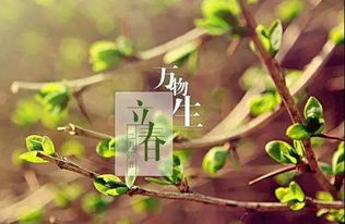 立春迎春必kan：传统习俗+注意事项，春季养生攻略！