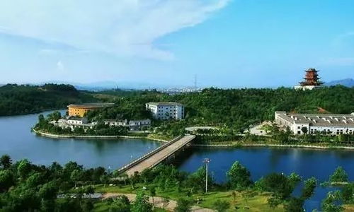 服务态度？呵呵