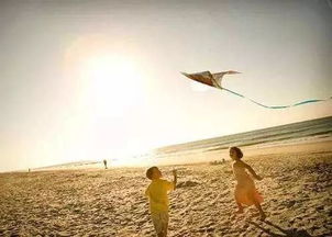 文化体验(了解一下历史)