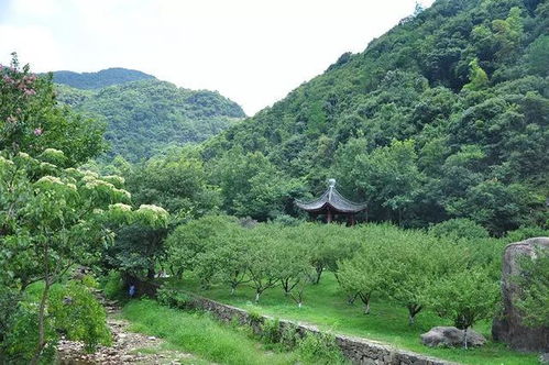北仑九峰山——亲近天然的良好去处（同样8月5日开门）