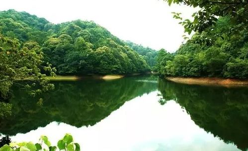 霭里村， 避暑胜地之一