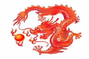 属龙人2024年运势整体解析