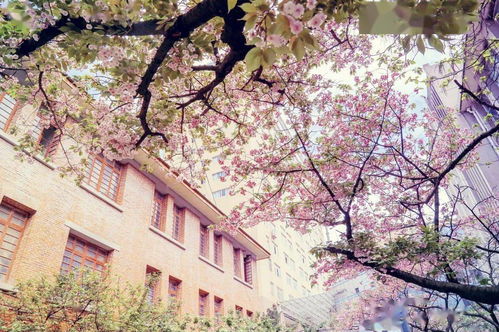 一场惯与季节的乱炖记忆：迷失在重庆园博园的三千亩梦境里