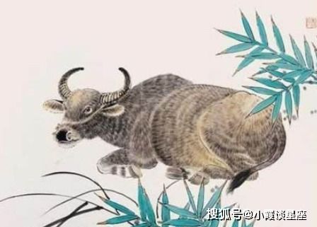 为何牛嘴不开一八发，竟打出了这独特的一生肖？