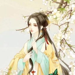 1、古风美名大集合——不落俗套的选项