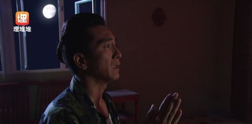 生肖猴：聪明反被聪明误