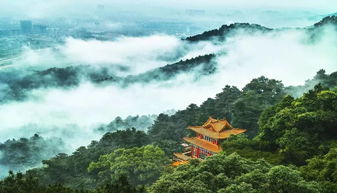 爬山路上的风景：累并快乐着