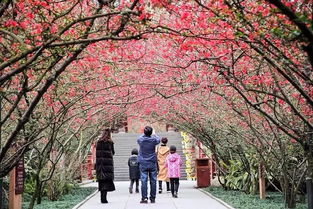 2.1 夜游技巧：带上手电筒和薯片