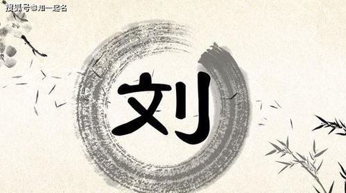 三、刘姓宝宝该怎么挑字？（偏向实用+一点闹腾）