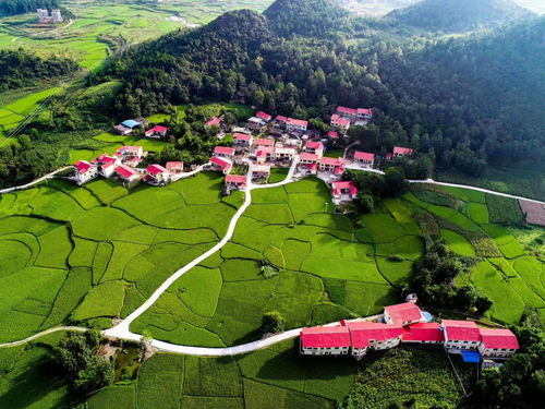 贵州乡村路,贵州农村路边风水布置