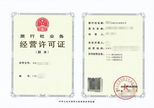4. 大梅沙：人肉饺子锅