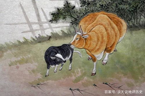 性格碰撞与互补：鸡的锋芒与牛的沉稳