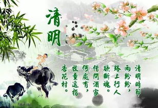 清明节：天然的节奏， 文雅的传承