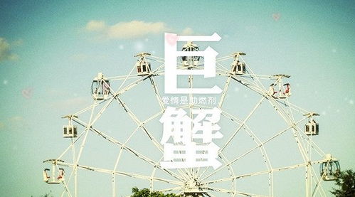 如何巧妙应对十二星座中的提防星座？