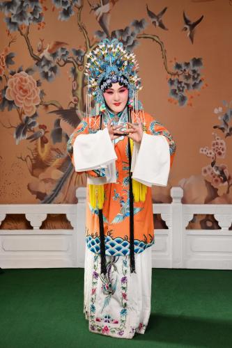 文化底蕴韵味：从古诗词到历史持续发展典故