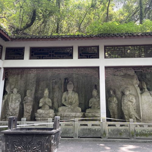 真人真事！张三的逆天改命省钱记
