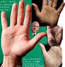 金星环的真假辨别