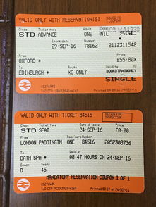 交通与住宿：在混乱中寻找秩序