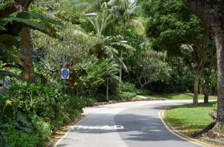 三、 核心路线——随意乱跑版（不保证不迷路）