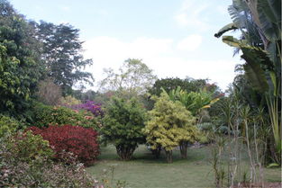 这些植物园的骚操作