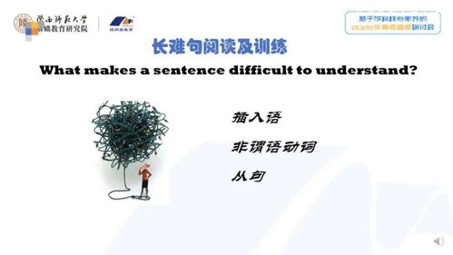虎啸山林：凶猛而精准的星座教育领域关键词策略