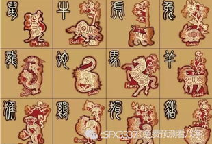 五行合化是个什么鬼？