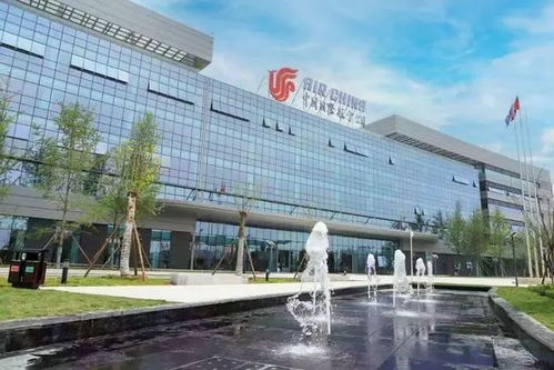 “天府机场北移300米，萌狮打卡，百万游客热追！”