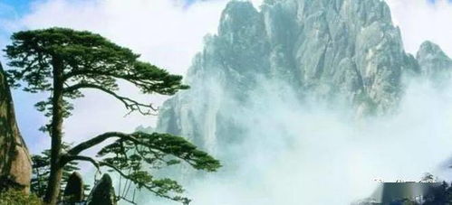 三、 噪音与碎片化信息大集合