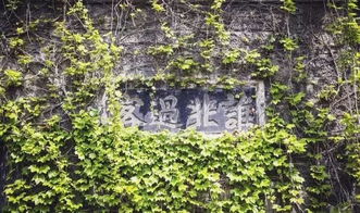 范县八字算命和阜宁县八字算命，哪家更准呢？
