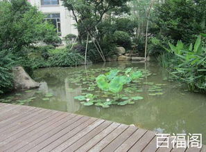 三、  水景与庭院：活水生财，死水败运